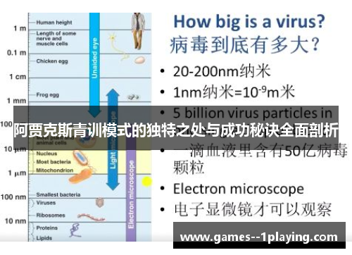 阿贾克斯青训模式的独特之处与成功秘诀全面剖析